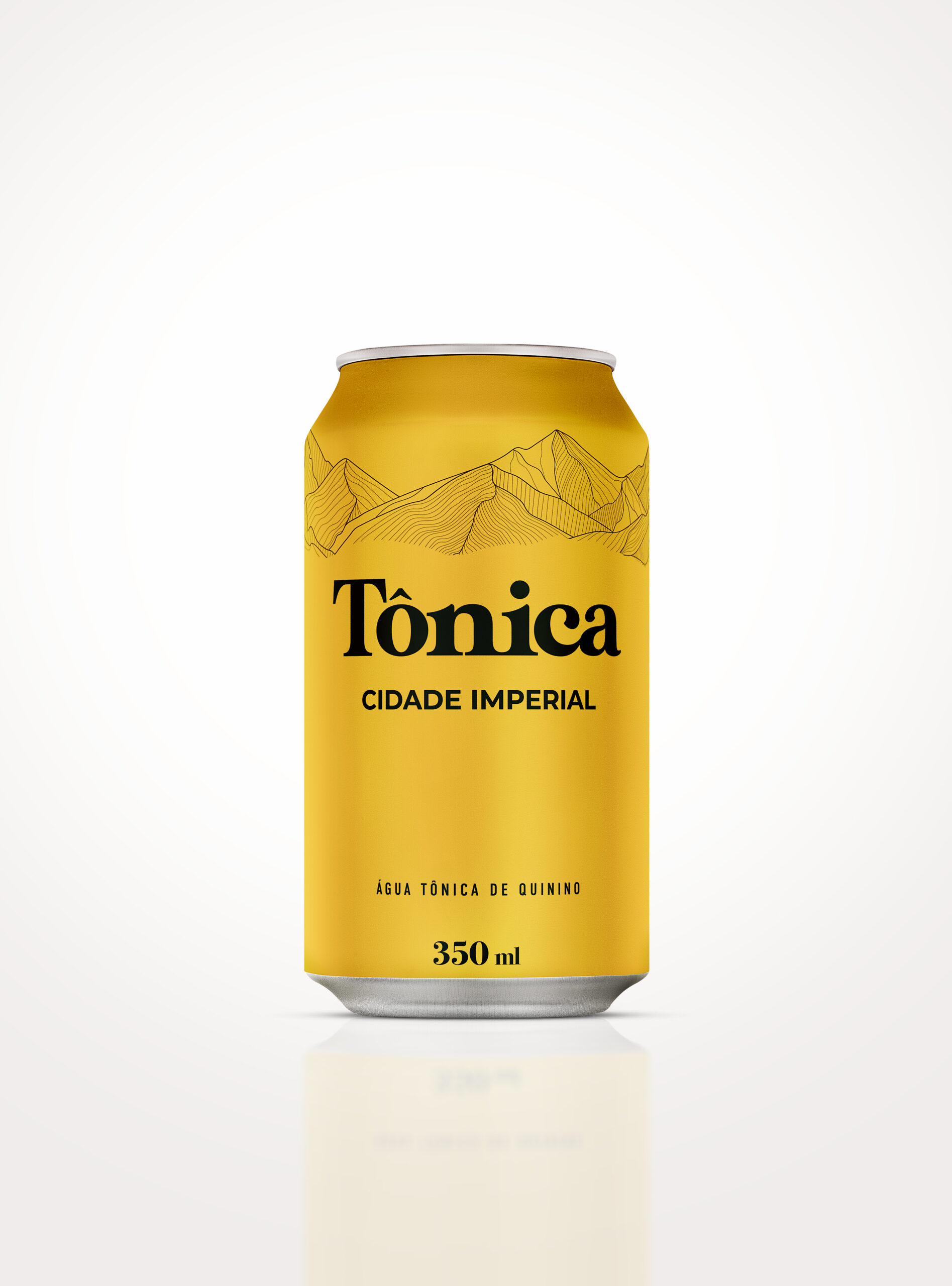Água Tônica Cidade Imperial Lata 350ml - 12 unidades